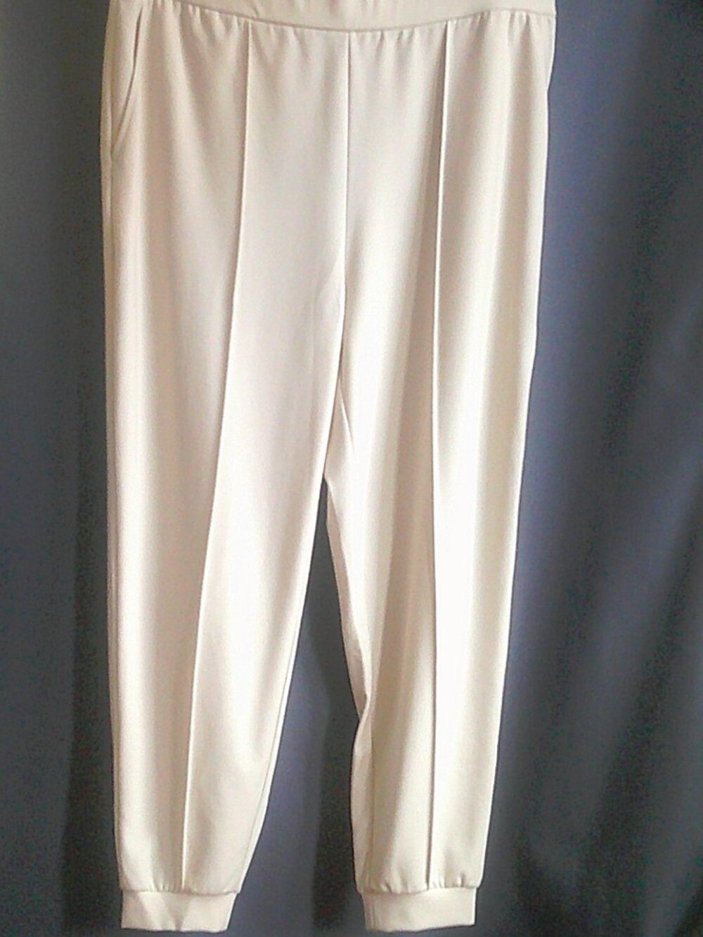 Eileen Fisher NWT Almond Ivory Lightweight Ponte Jogger Pant Easy Fit Ankle XL - Picture 2 of 6